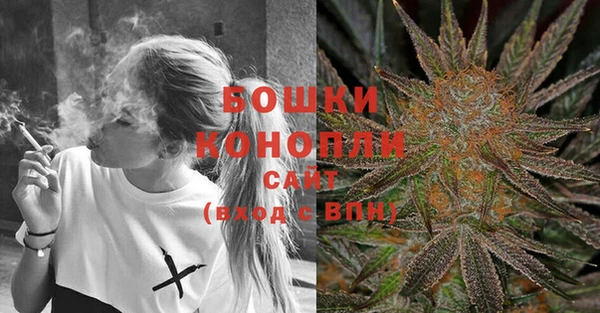 сатива Наволоки